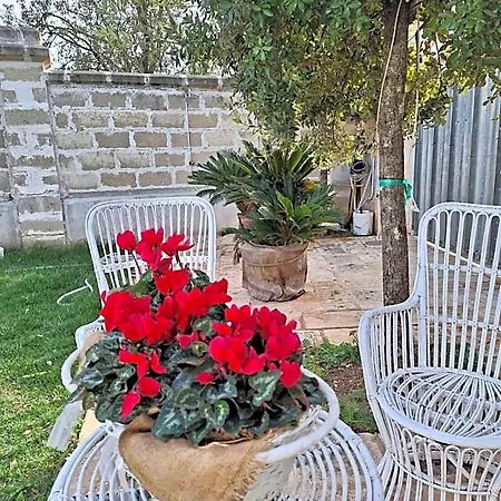Le Torri Bed & Breakfast Santeramo in Colle