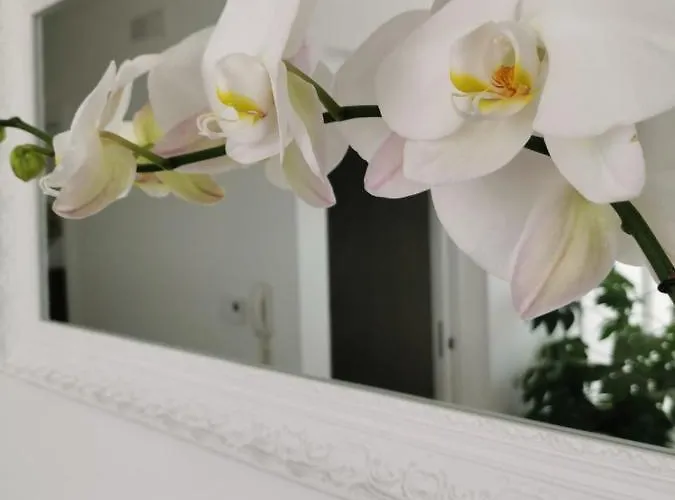 Le Torri Santeramo in Colle